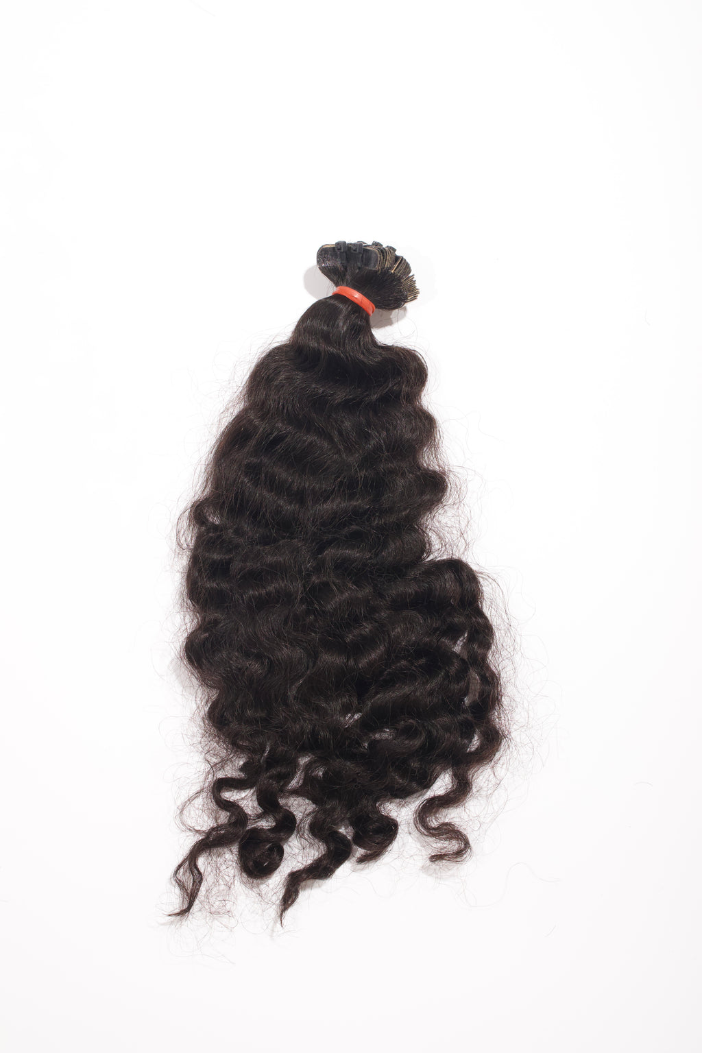 Burmese Curly - Tape Ins