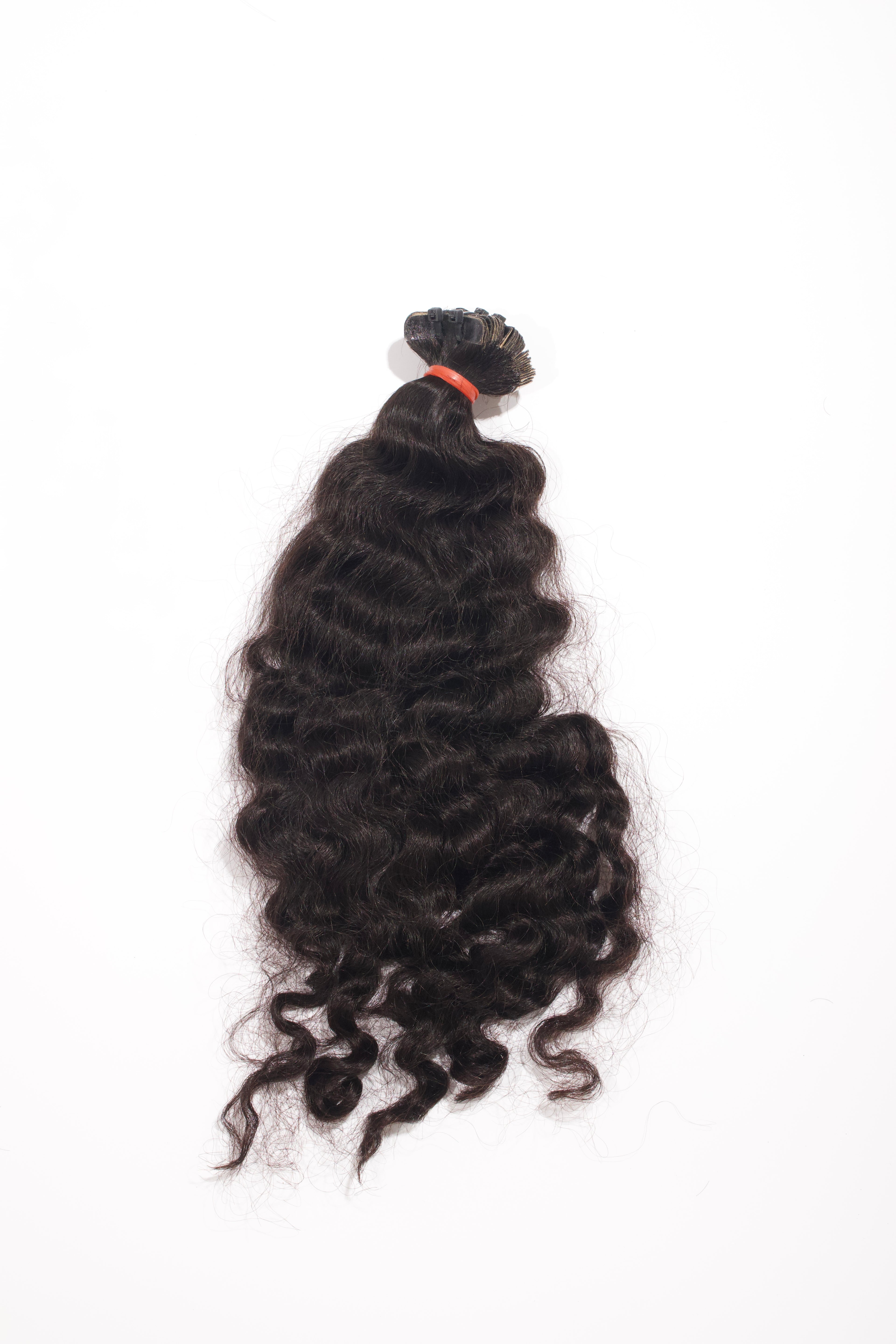 Burmese Curly - Tape Ins